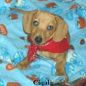 Meet your Posher, Sherry